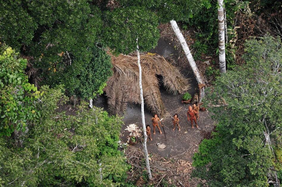 Javari Reserve, Brazil