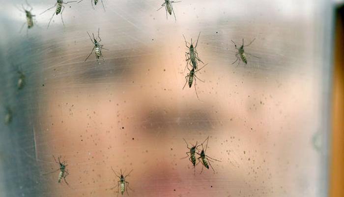 Texas announces first local Zika case