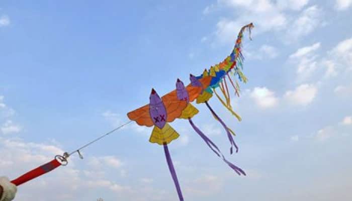 Gujarat HC issues notice to govt on PIL seeking ban on kite flying, hot air balloon