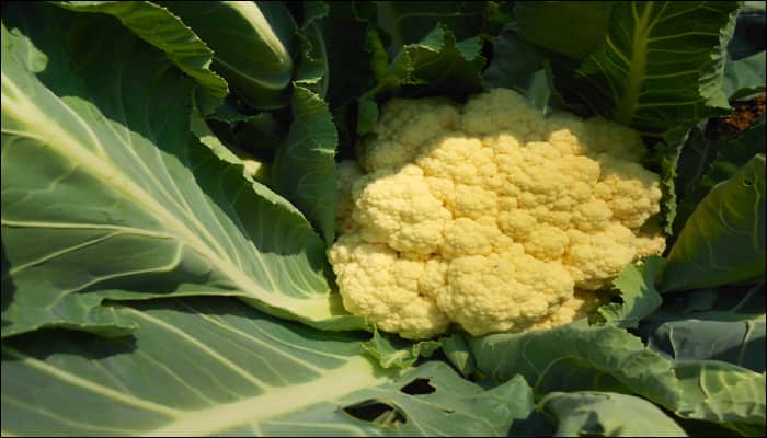 Lesser-known health benefits of cauliflower!