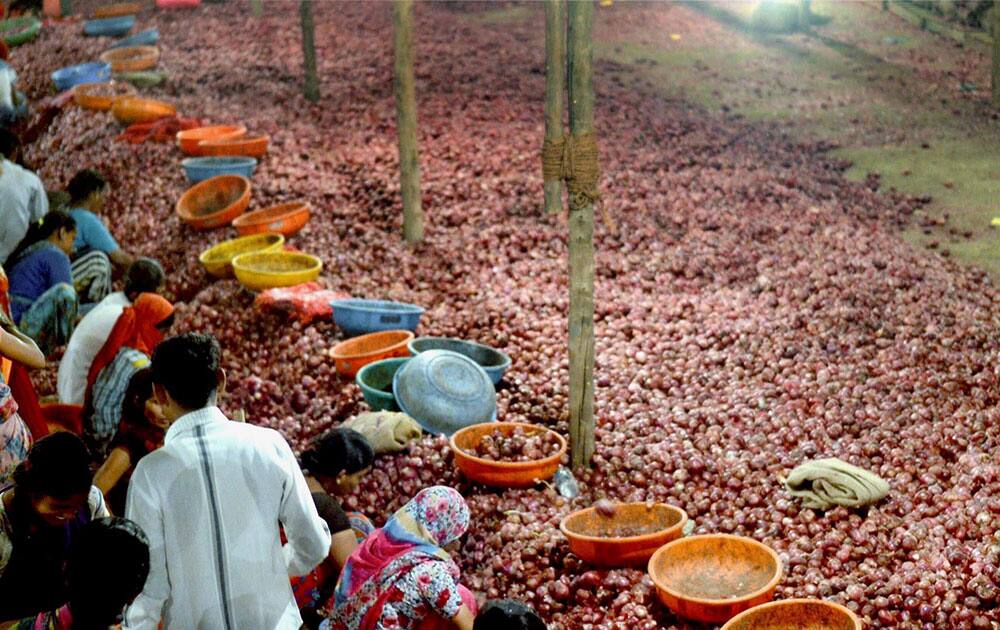 Labours sort onions Labours sort onions