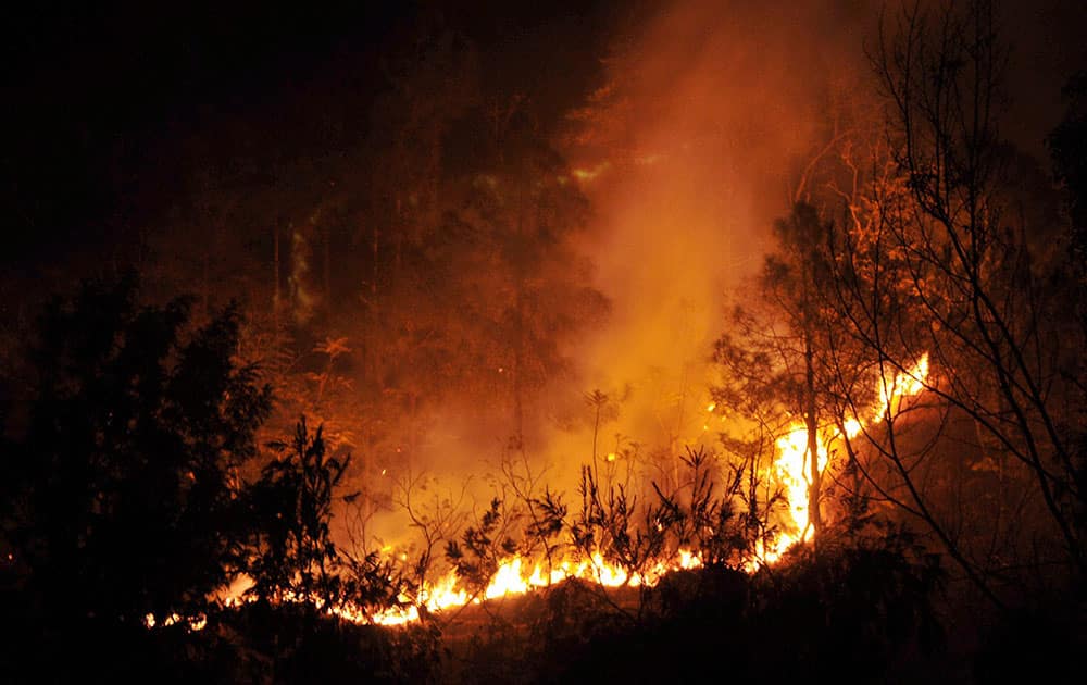 A wild fire broke out in a jungle near Kandaghat A wild fire broke out in a jungle near Kandaghat