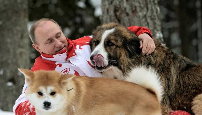Russia turns down Japan&#039;s diplomatic gift of a dog ahead of summit