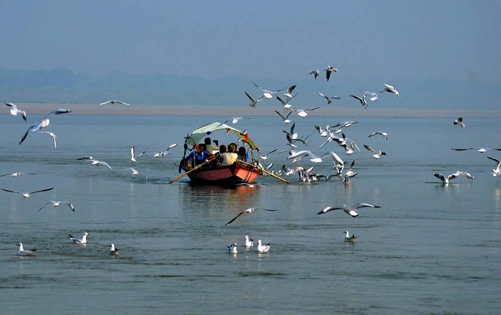 Siberian birds flying over the Ganges