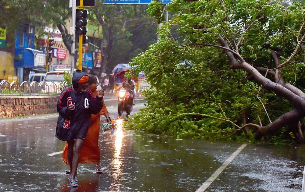 People looking at an uprooted tree during a heavy storm caused by Cyclone Vardah in Chennai.