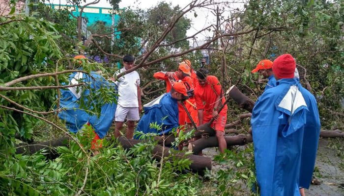 18 people killed as Cyclone Vardah leaves debris, damage in Tamil Nadu  