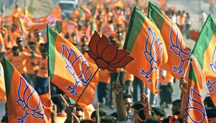 BJP names new office-bearers in Madhya Pradesh unit