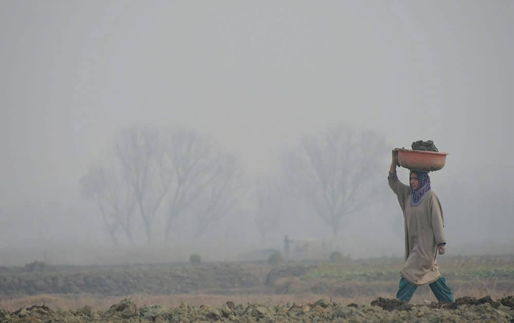 Fog in Srinagar