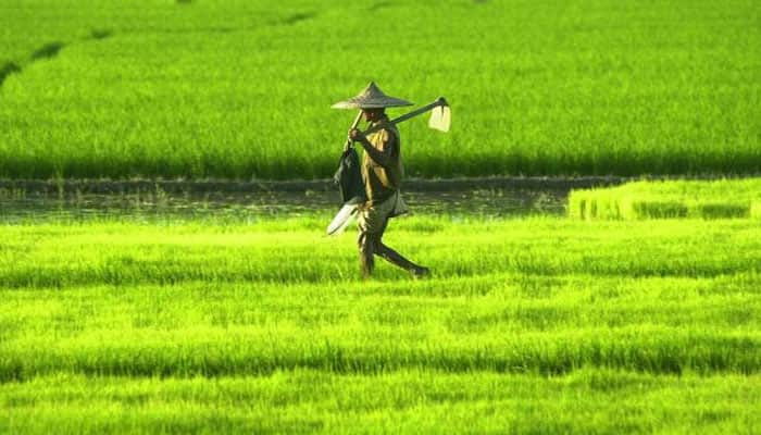 Big relief for farmers: RBI gives additional 60 days to repay crop loans