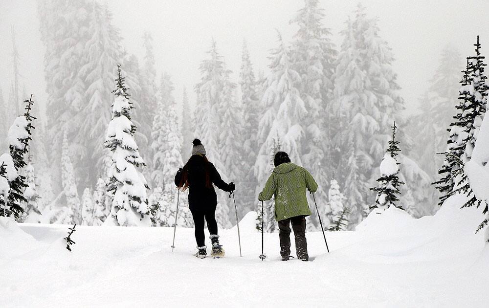 Mount Rainier National Park