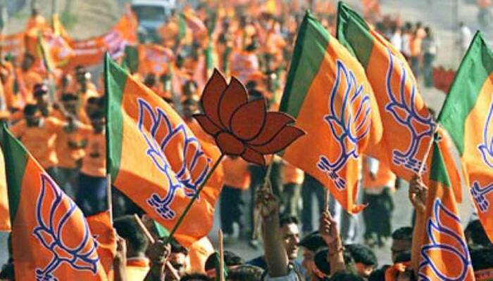 Gujarat gram panchayat poll results: BJP claims victory