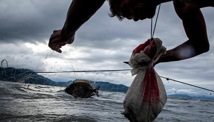 India, Sri Lanka decide to release fishermen in custody