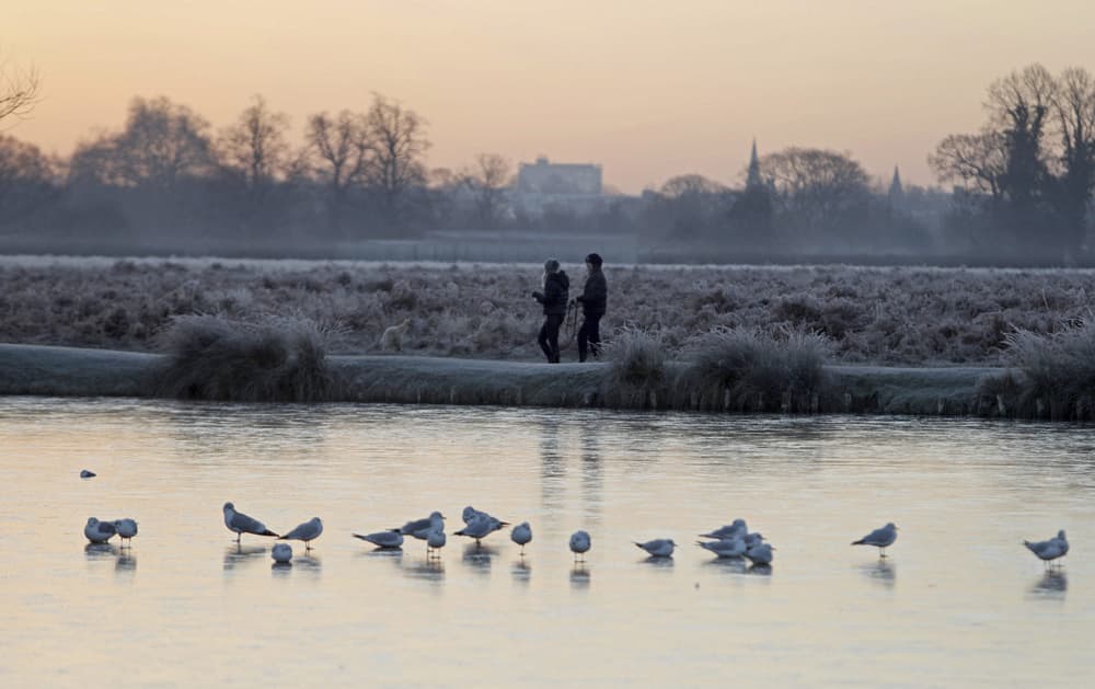 Birds walk on a frozen lake in Bushy Park