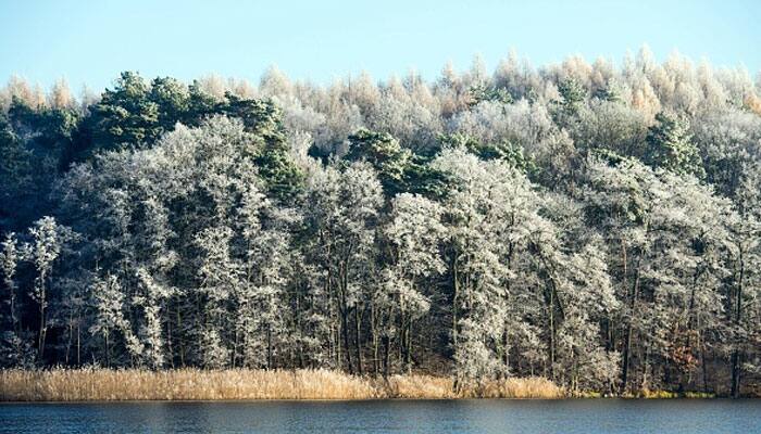 At least 20 die in cold snap across Europe