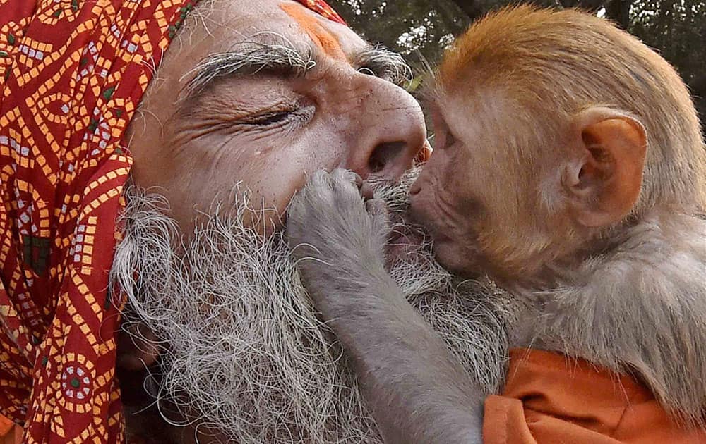 A Sadhu at Babughat transit camp