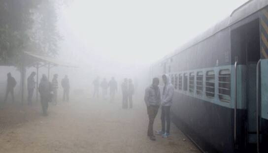 Cold wave to continue in North, Central India, min temp to remain below normal till Jan 21: IMD