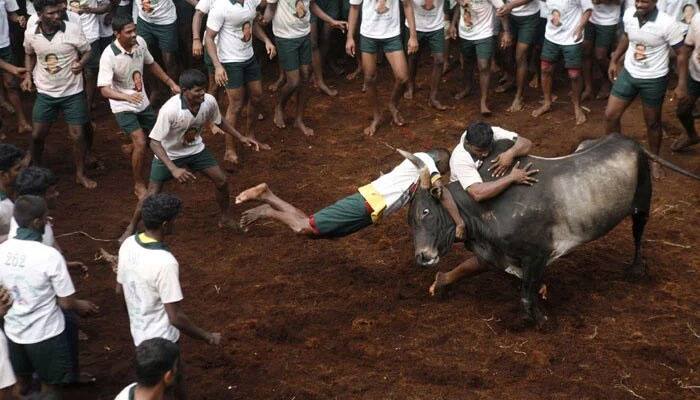 Tamil Nadu ministers hold talks with pro-Jallikattu protestors