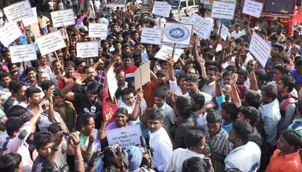 Thousands of Jallikattu lovers camp on Chennai&#039;s Marina Beach, want ban lifted