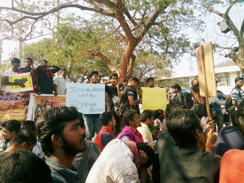 Jallikattu Protest in Tamil Nadu