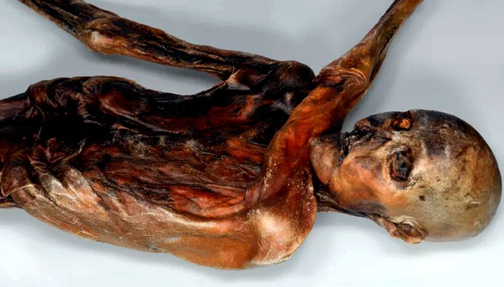 Otzi the Iceman Otzi the Iceman