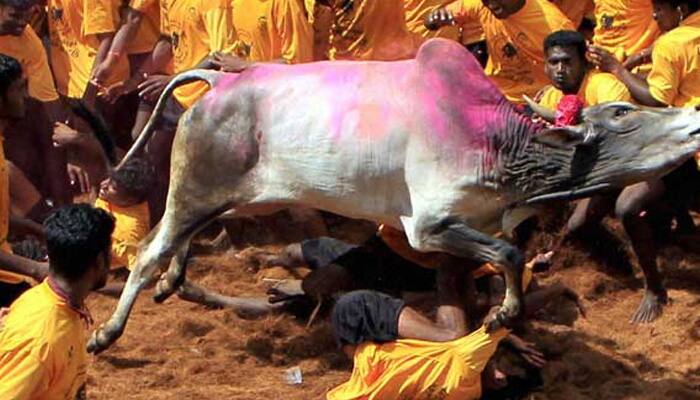 AIADMK chief holds meeting with CM, others on Jallikattu