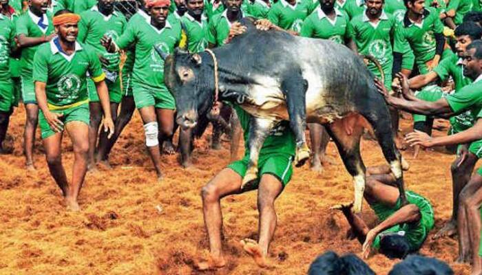 Jallikattu row: Centre clears Tamil Nadu government&#039;s ordinance