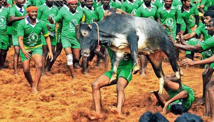 Ready to hold Jallikattu at Alanganallur, says Madurai district administration