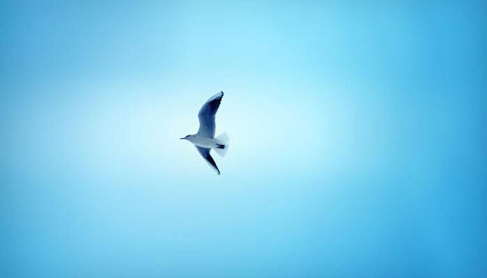 What is Zen – its meaning, characteristics and obstacles 
