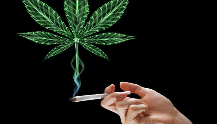 Smoking marijuana in teens may affect verbal IQ