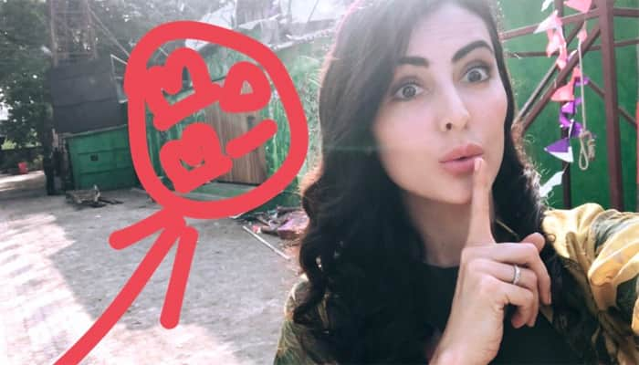 Bigg Boss 10: Mandana Karimi tweets about Lopamudra Raut, Manu Punjabi