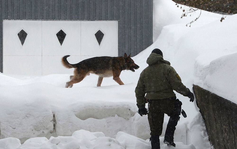 A police officer and police dog look for evidence