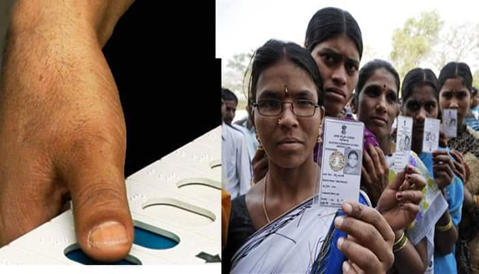 Assembly elections: Punjab at brisk 48 per cent till 2:30 pm, Goa touches 53 per cent in six hours