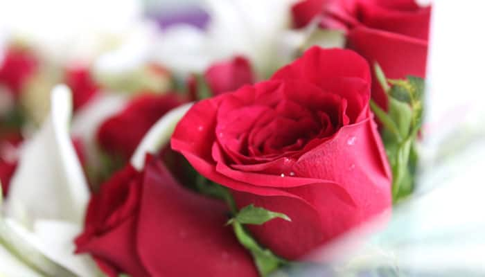 Valentine’s week 2017 Day 1: Make the first move by gifting a bouquet of Roses