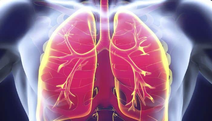 Researchers develop new 3D system to fight tuberculosis