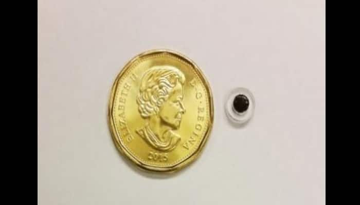 Researchers develop magnetic implant to provide new drug delivery method