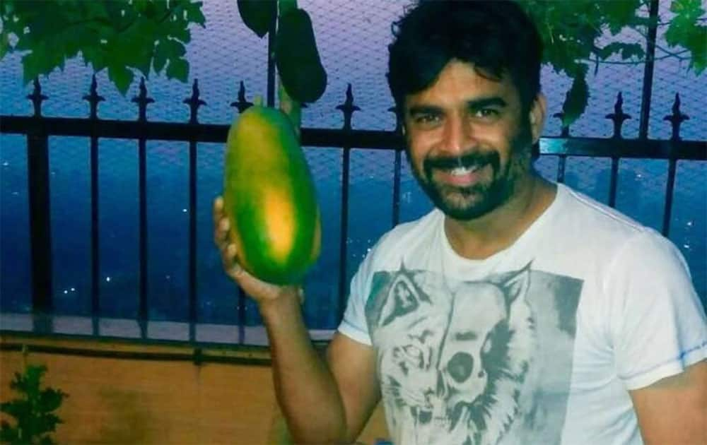 R. Madhavan :- And now home grown organic Papayas