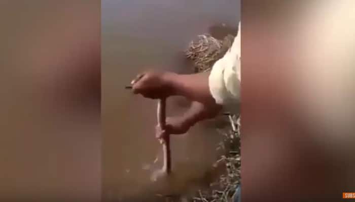 OMG! Indian man does something unbelievable with this live snake....shocking: Watch Video