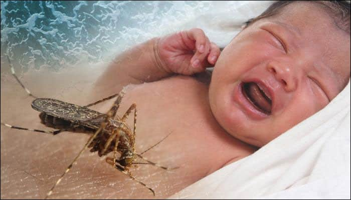 Zika&#039;s effects now also include miscarriages, thinner brain tissue