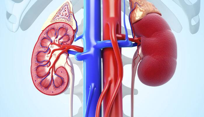 Common heartburn drugs may lead to &#039;silent&#039; kidney damage: Study