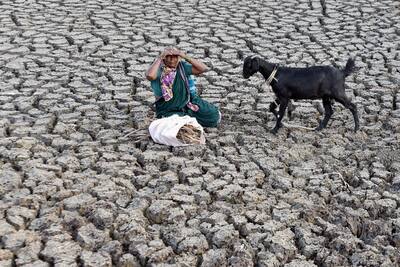 Drought in Hubli