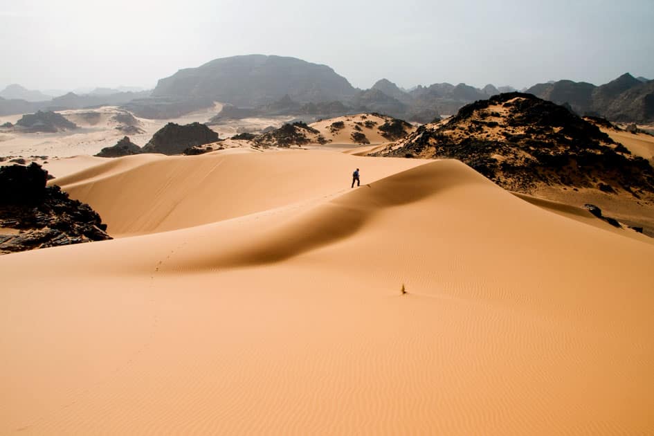 Sahara