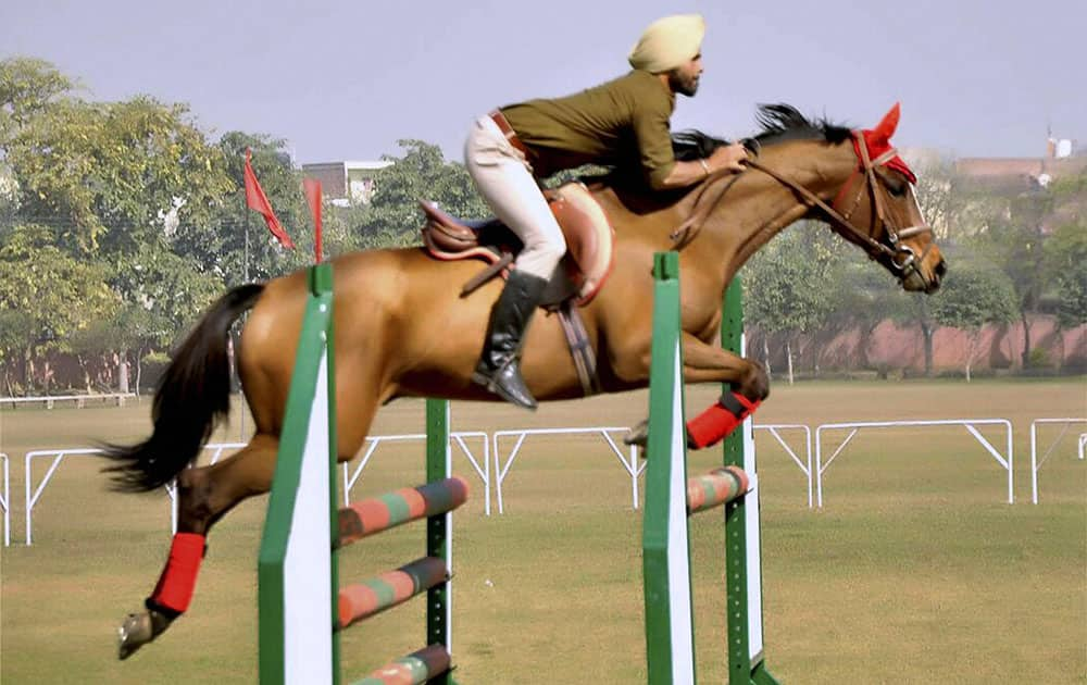 Tent Pegging and Show Jumping show