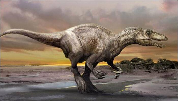 Do you know what helped early dinosaurs stand on two back feet?