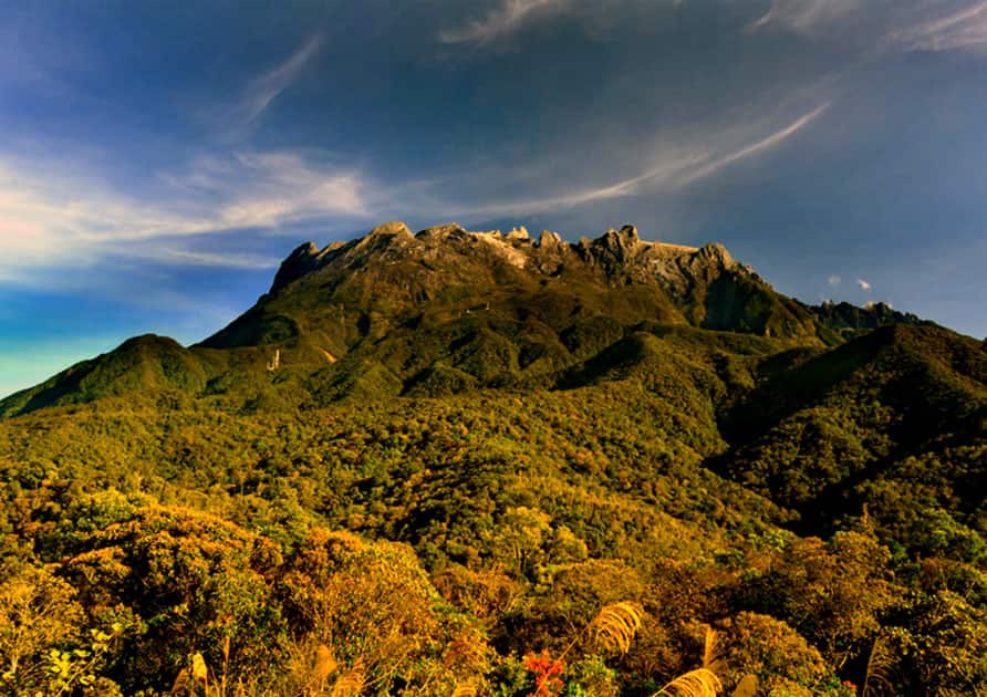 Kinabalu national park