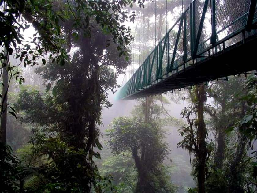 The Monteverade Forest – Costa Rica