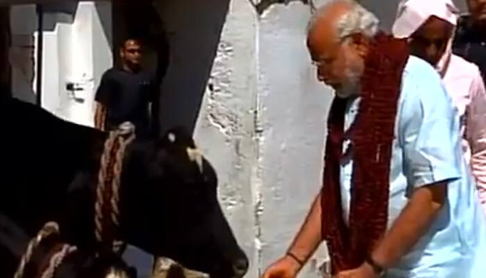 PM Narendra Modi visits Gadhwa Ghat Ashram, feeds cows with fodder and &#039;gur&#039; – Watch video