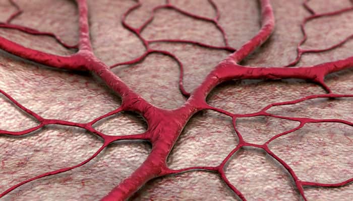 3D-printed, life-like blood vessel network created to pave way for artificial organs
