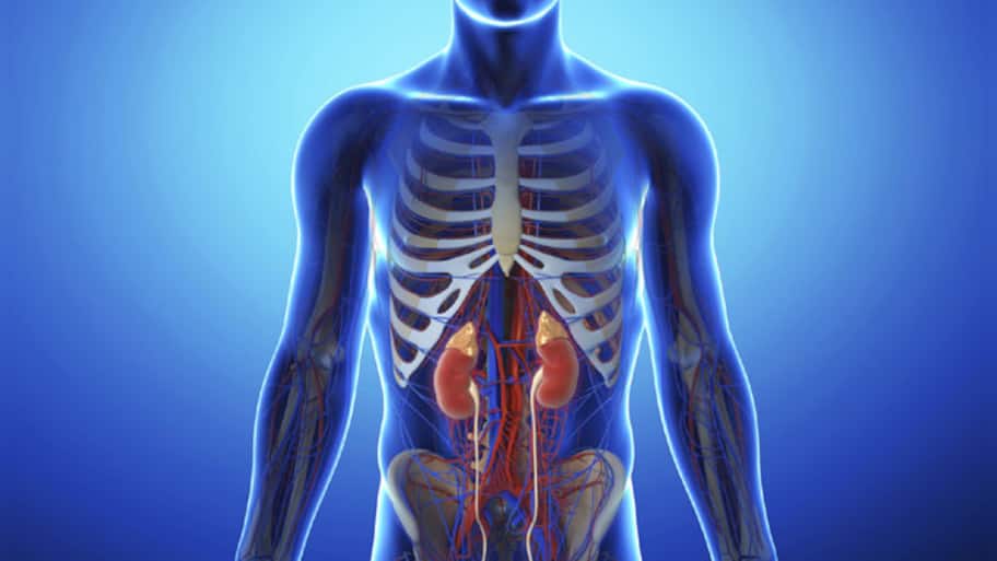 Chronic kidney disease: What you should not forget