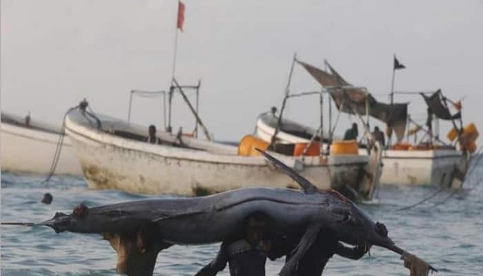 77 Indian fishermen released by Sri Lankan government