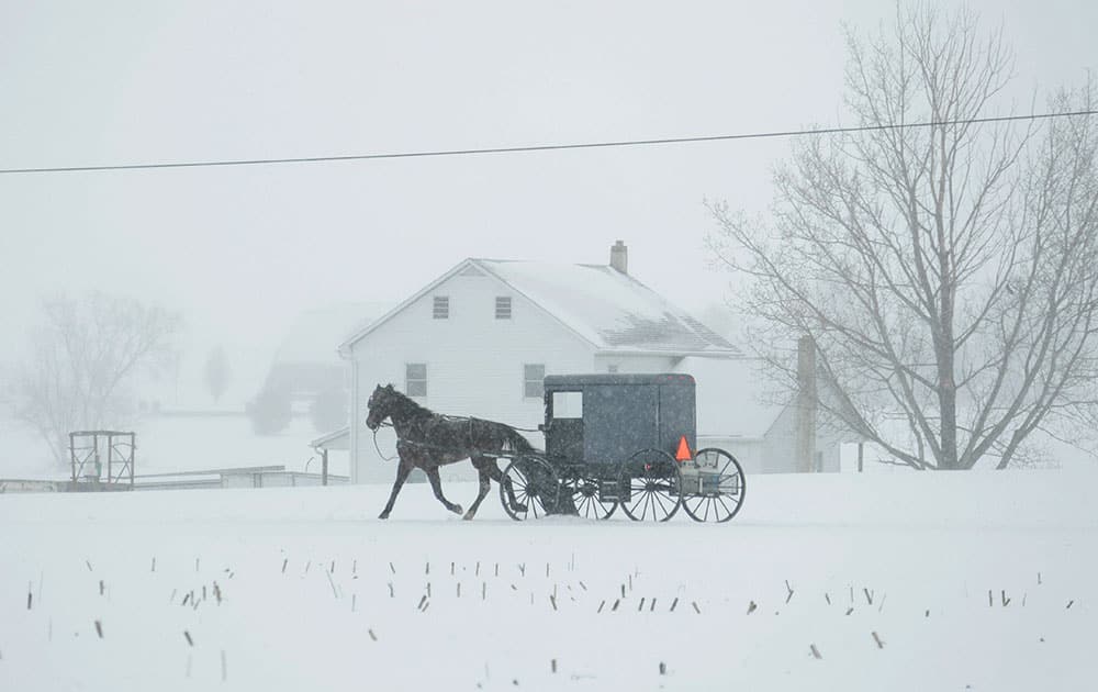 A horse and buggy drive through a winter snow storm in Salisbury